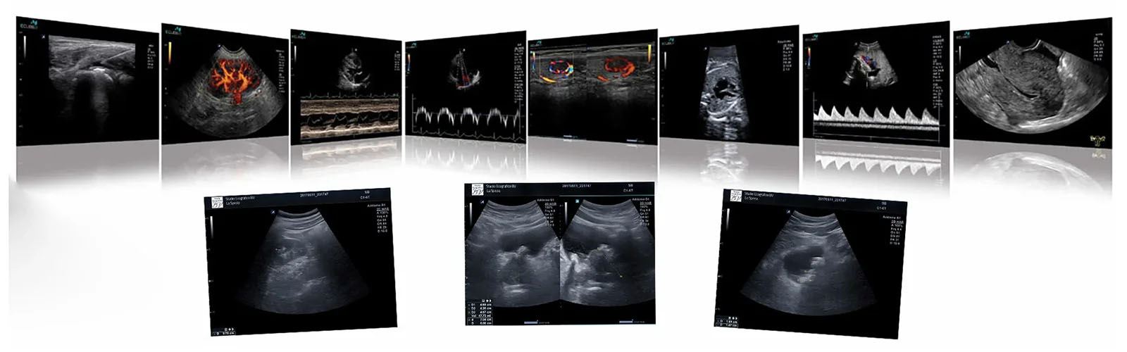 Studio Ecografico BV La Spezia